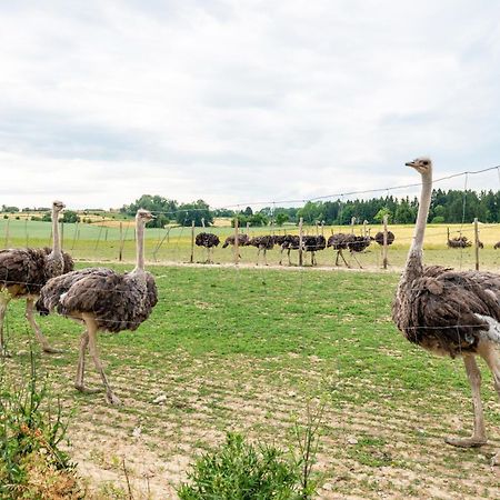 Beutenmuehle Straussenfarm Dach Owingen Экстерьер фото